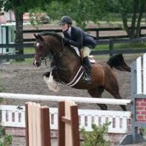 Meet your Posher, Darlene